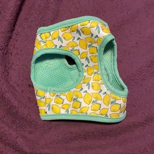 Size medium dog or cat harness with lemons